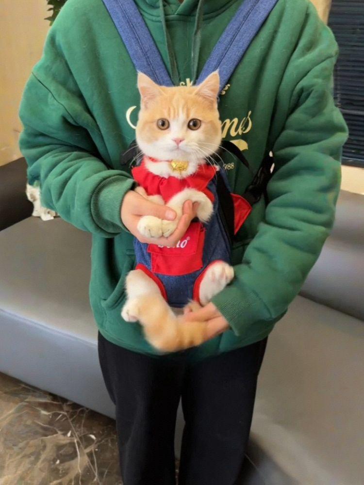 고양이 강아지 이동용 백팩 휴대용 외출 가방 경량 블루 앤 옐로우 포켓 스타일 S - 상세 이미지 5