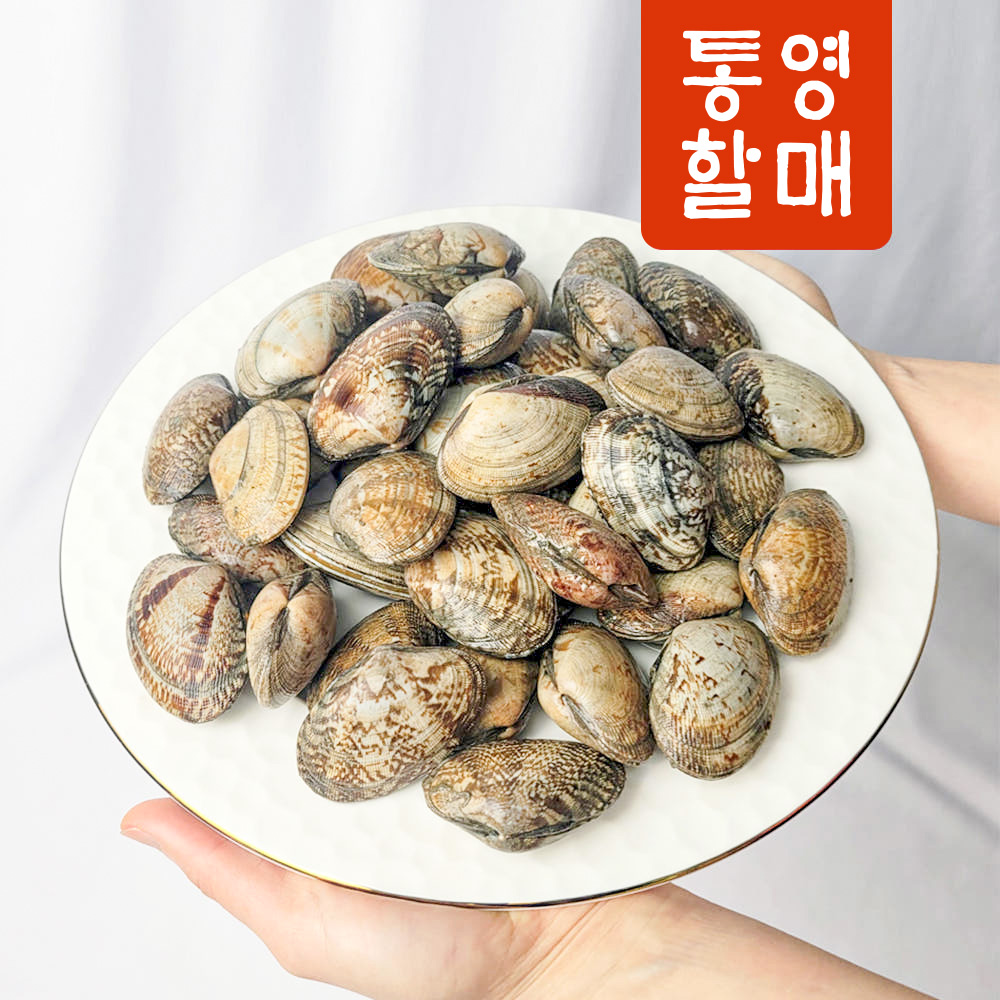 해감 조개 왕 백상합 동죽 참바지락 활바지락 1kg 개별포장