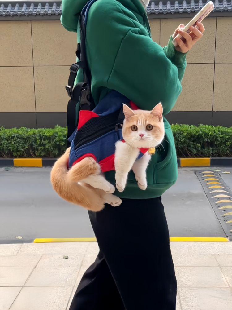 고양이 강아지 이동용 백팩 휴대용 외출 가방 경량 블루 앤 옐로우 포켓 스타일 S - 상세 이미지 2
