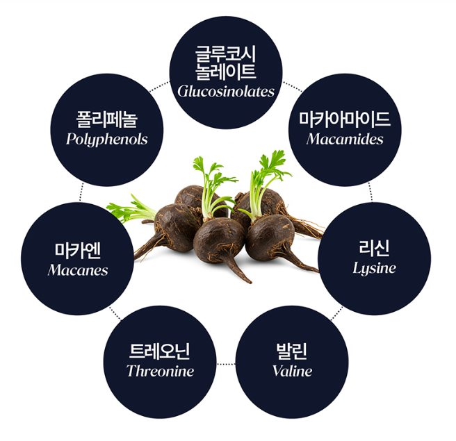 여성활력제 생마카 블랙마카up 갱년기 초월 - 상세 이미지 4