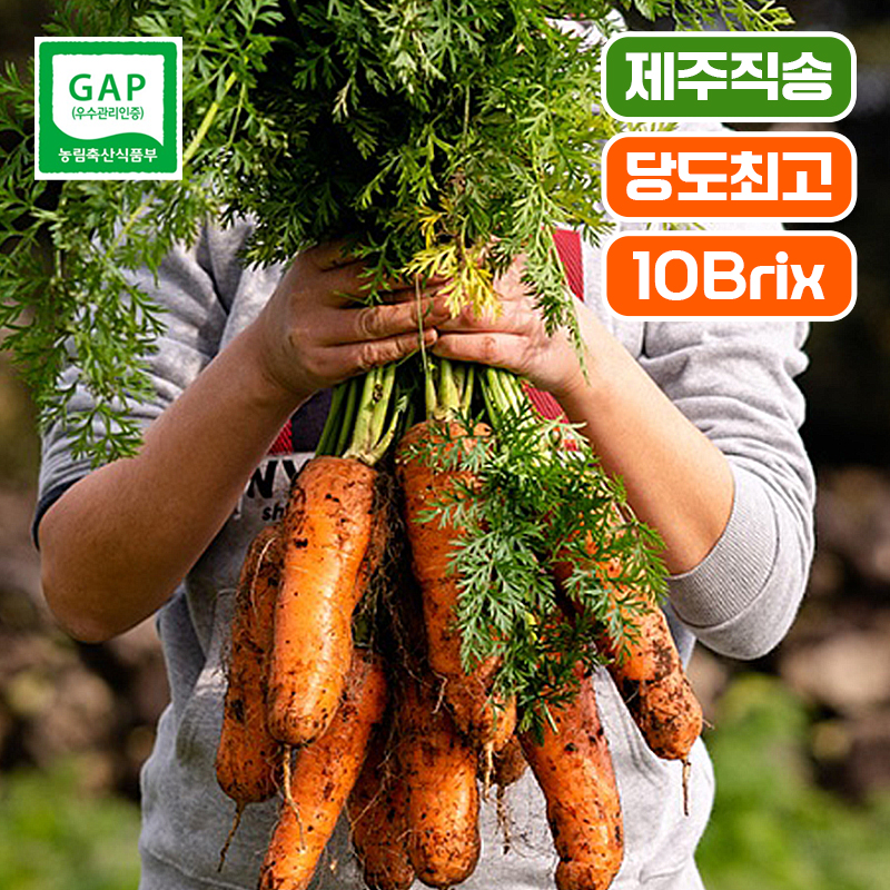 [제주 산지직송 ]10Brix! 고당도 제주 구좌당근  3kg 5kg 10kg 햇당근 흙당근 주스용 쥬스용 생당근 - 상품 이미지