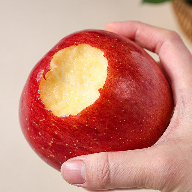 사과 부사 가정용 꿀사과 실속형 선물세트 제품 이미지