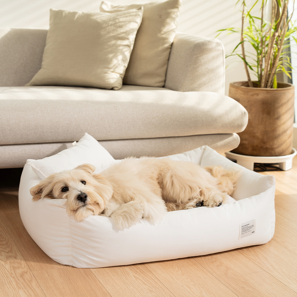 쉬오트 메종 범퍼 베드 쿠션 4color M/L 강아지침대 고양이침대