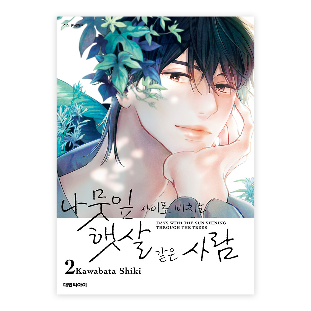 (대원씨아이) 나뭇잎 사이로 비치는 햇살 같은 사람 2권 솔직 독서 후기 | 읽어볼 만할까? - 대표 이미지
