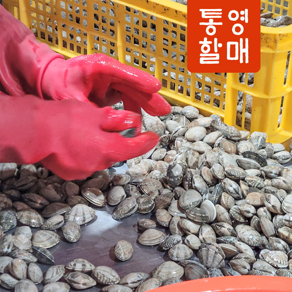 해감 조개 왕 백상합 동죽 참바지락 활바지락 1kg 개별포장