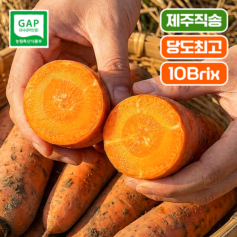 [제주 산지직송 ]10Brix! 고당도 제주 구좌당근  3kg 5kg 10kg 햇당근 흙당근 주스용 쥬스용 생당근 - 상세 이미지 3