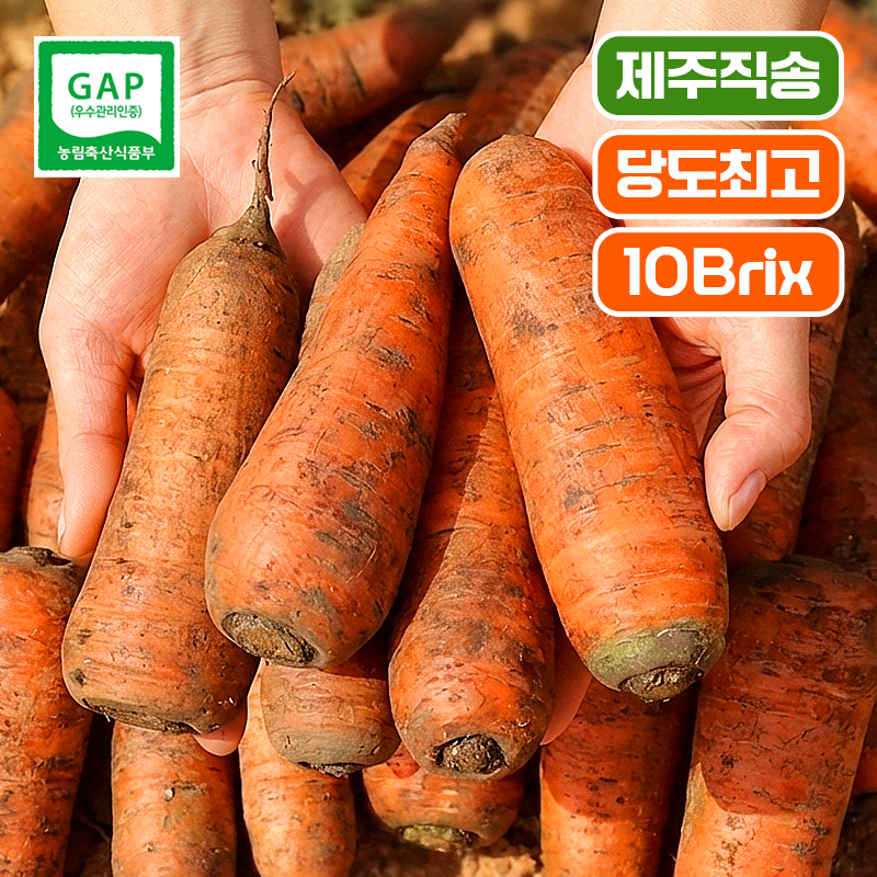 [제주 산지직송 ]10Brix! 고당도 제주 구좌당근  3kg 5kg 10kg 햇당근 흙당근 주스용 쥬스용 생당근 - 상세 이미지 2