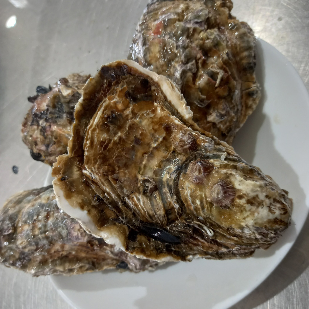 통영 산지직송 삼베체굴 생굴 제철 국내산 1kg 이미지 6