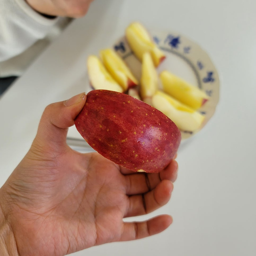 사과 경북 못난이 꿀 부사 5kg 10kg - 상세 이미지 3