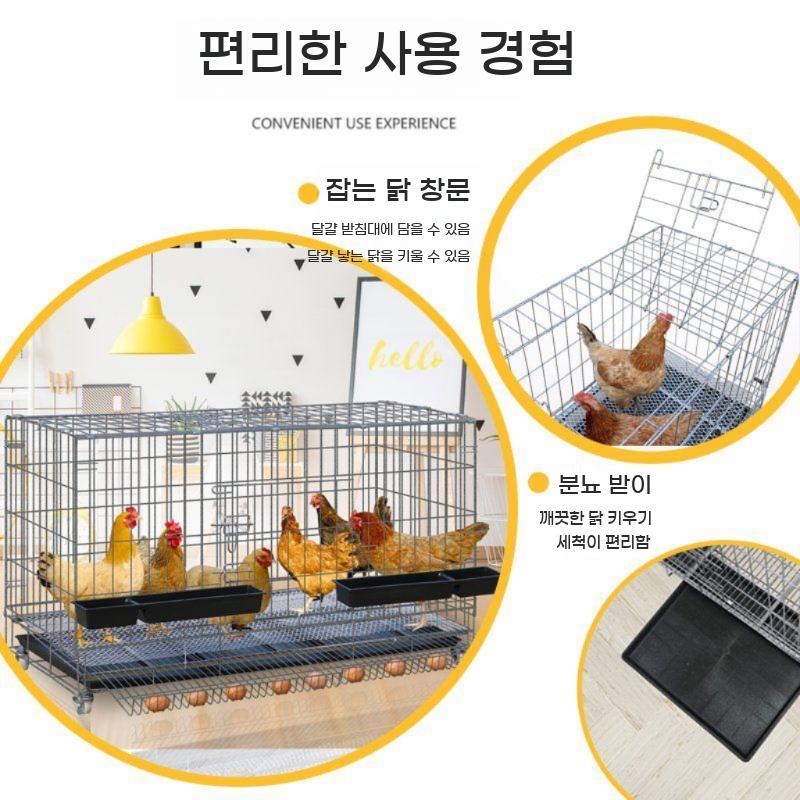 닭장 암탉 케이지 철망 사육장 조립식 닭 키우기 오리 하우스 새장 둥지 가금류 사육 - 상세 이미지 3