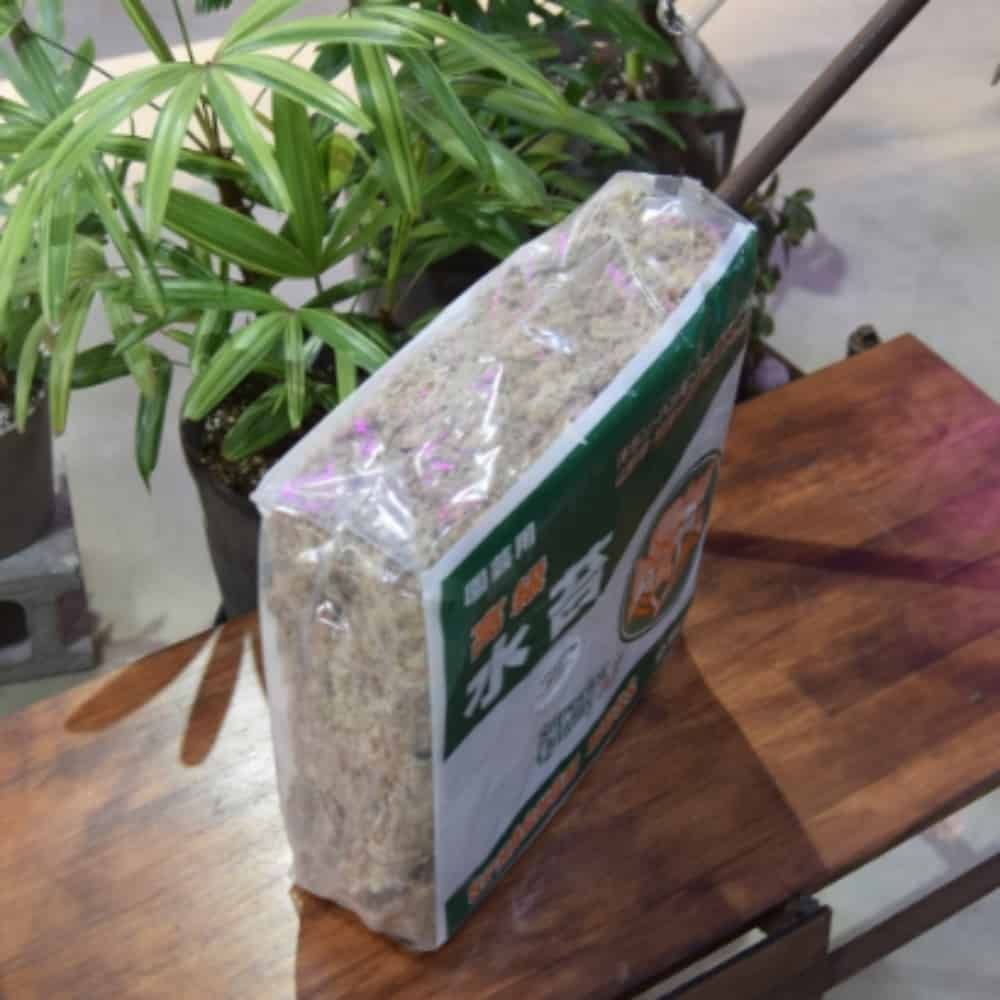 천연수태 1Kg 건조이끼 화분마감재 말린이끼 - 상품 이미지
