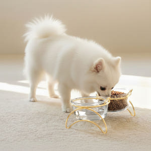 레토 강아지 밥그릇 고양이 물그릇 유리 식기 식탁세트 솔직 후기 | 실제 사용자 리뷰 총정리 - 상품 이미지 1