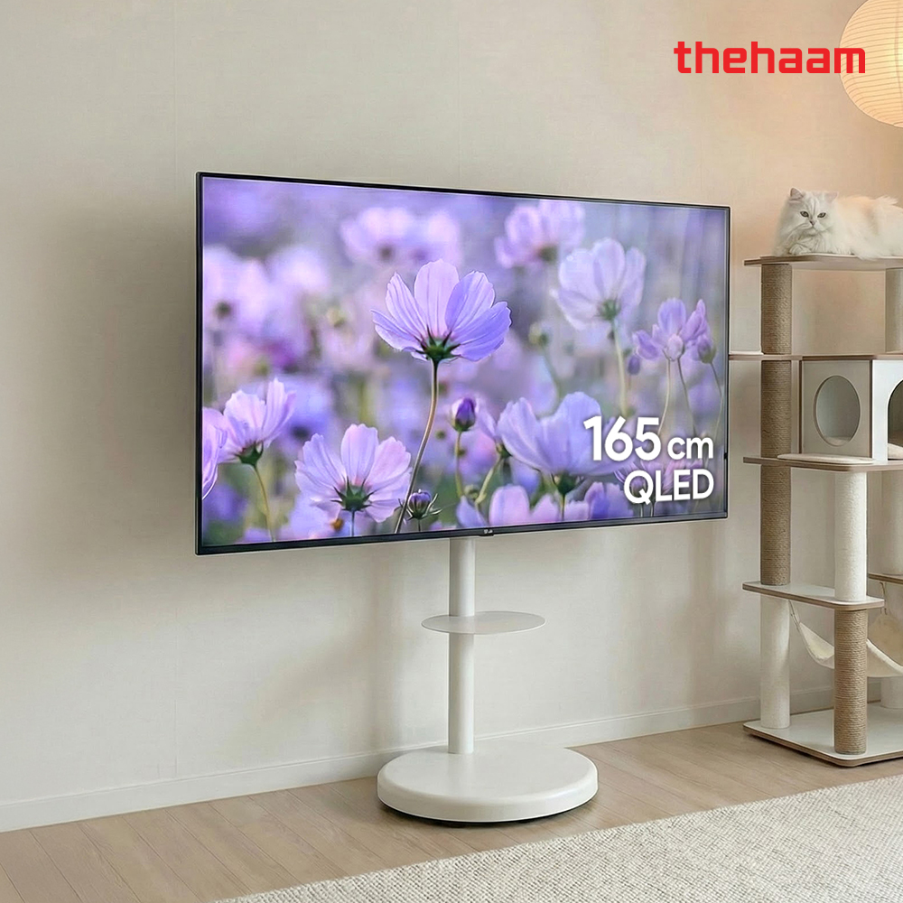 스마트TV 구글5.0 165cm(65인치), 울트라 QLED 패키지, 더함 CHiQ 고객직접설치