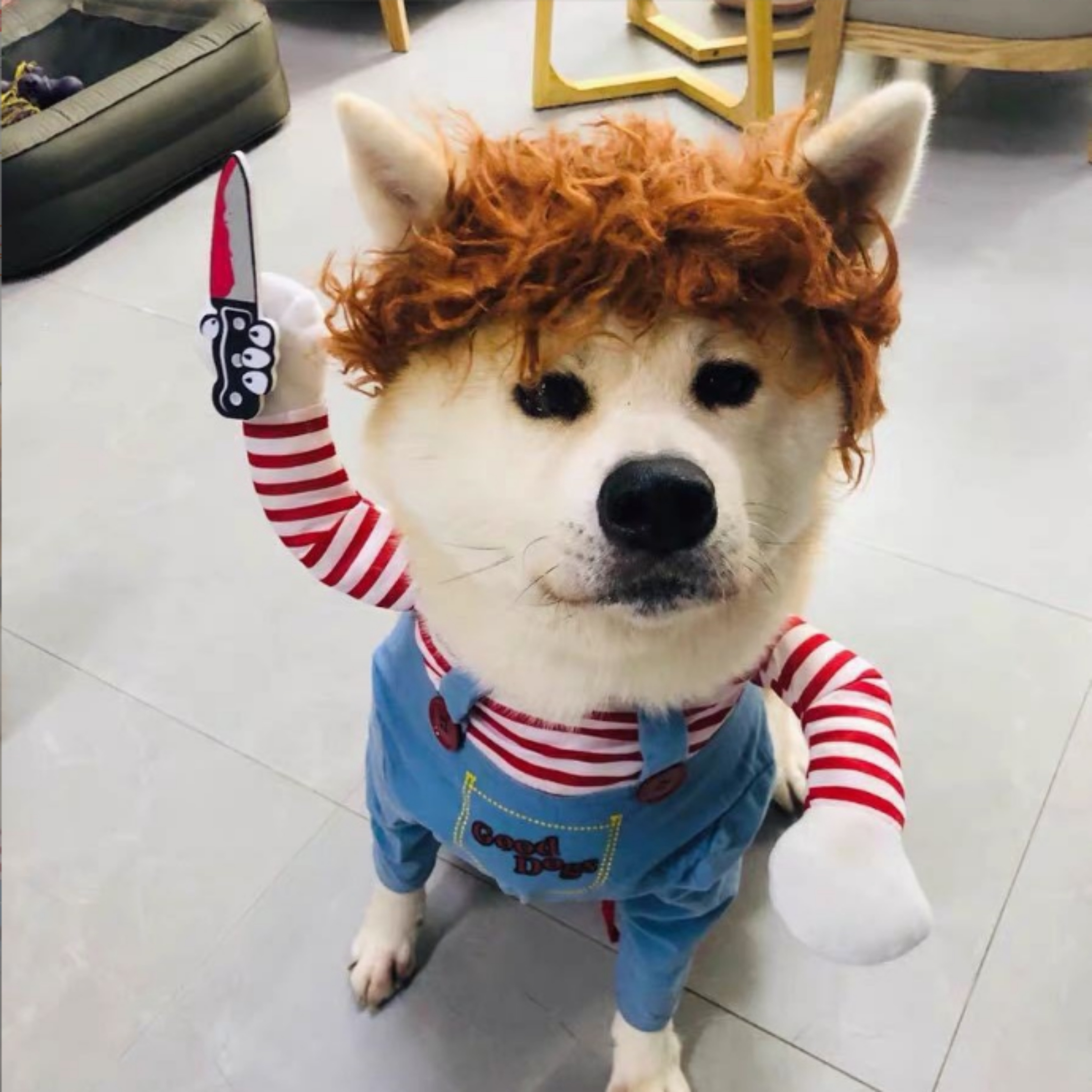 강아지 처키옷 할로윈 고양이 옷 코스튬 파티  XL - 상품 이미지