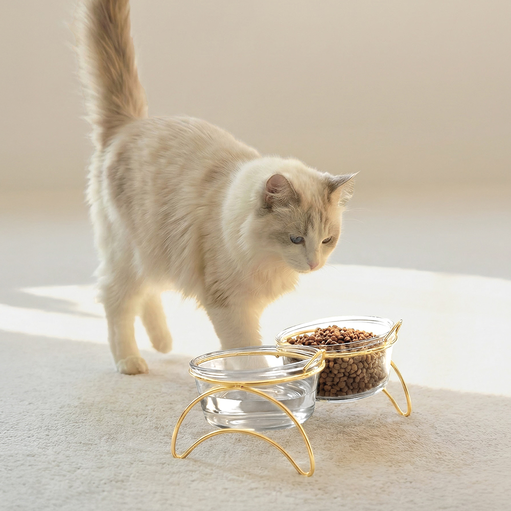 레토 강아지 밥그릇 고양이 물그릇 유리 식기 식탁세트 이미지 2