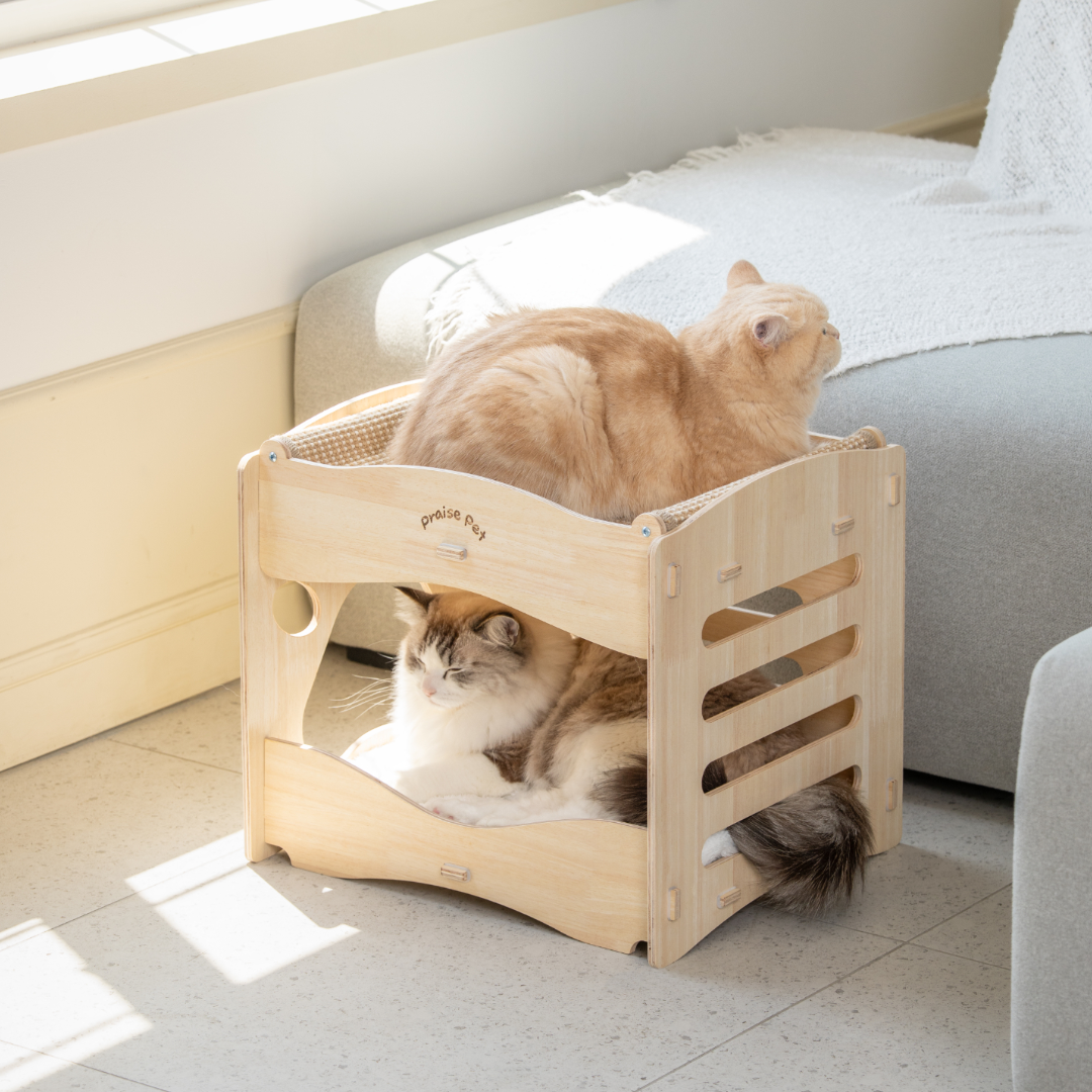 [리뉴얼]프레이즈펫 프리미엄 2층침대 스크래쳐 - 고양이 대형 숨숨집 하우스 리필 교체가능 이미지 3