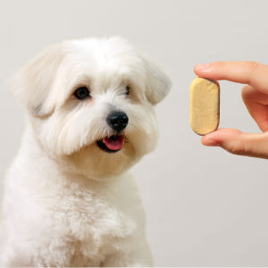 트러스티푸드 동결건조 저알러지 한방캡슐 머슬 강아지 슬개골 관절 근육 영... 솔직 후기 | 실제 사용자 리뷰 총정리 - 상품 이미지 3