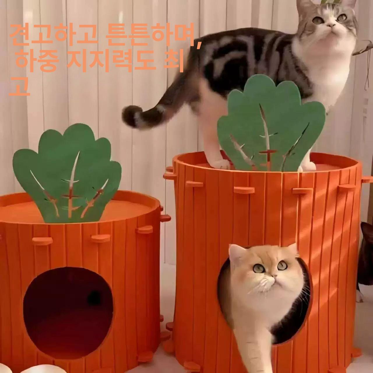 고양이 사계절 하우스 반폐쇄형 반려동물 집 침대 대형 9.0kg이하 - 상세 이미지 3