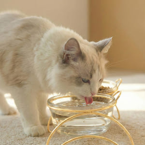 레토 강아지 밥그릇 고양이 물그릇 유리 식기 식탁세트 솔직 후기 | 실제 사용자 리뷰 총정리 - 상품 이미지 3