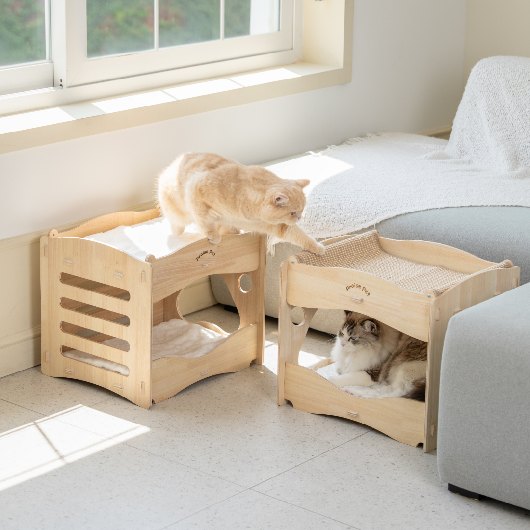 [리뉴얼]프레이즈펫 프리미엄 2층침대 스크래쳐 - 고양이 대형 숨숨집 하우스 리필 교체가능 이미지 2