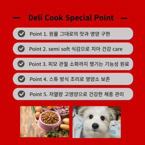 델리쿡헬씨부스터 프리미엄 종합영양 저열량소프트 관절피모눈간 생육70%이상 쇠고기, 1kg, 3개 이미지 8