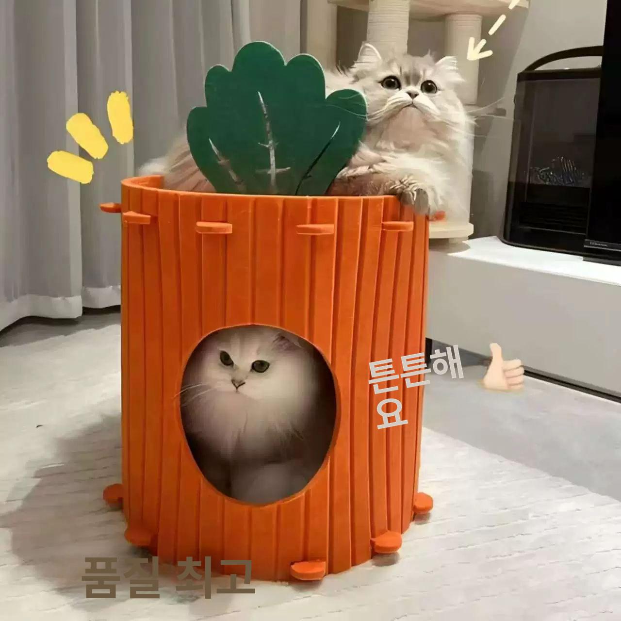 고양이 사계절 하우스 반폐쇄형 반려동물 집 침대 대형 9.0kg이하 - 상세 이미지 2