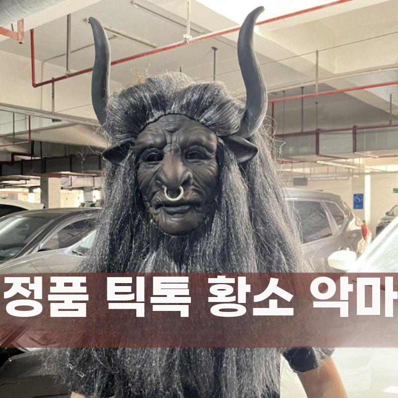 동물악마 가면 마왕 서유기 풀페이스 동물 얼굴 마스크 공연 저팔계 - 상세 이미지 2