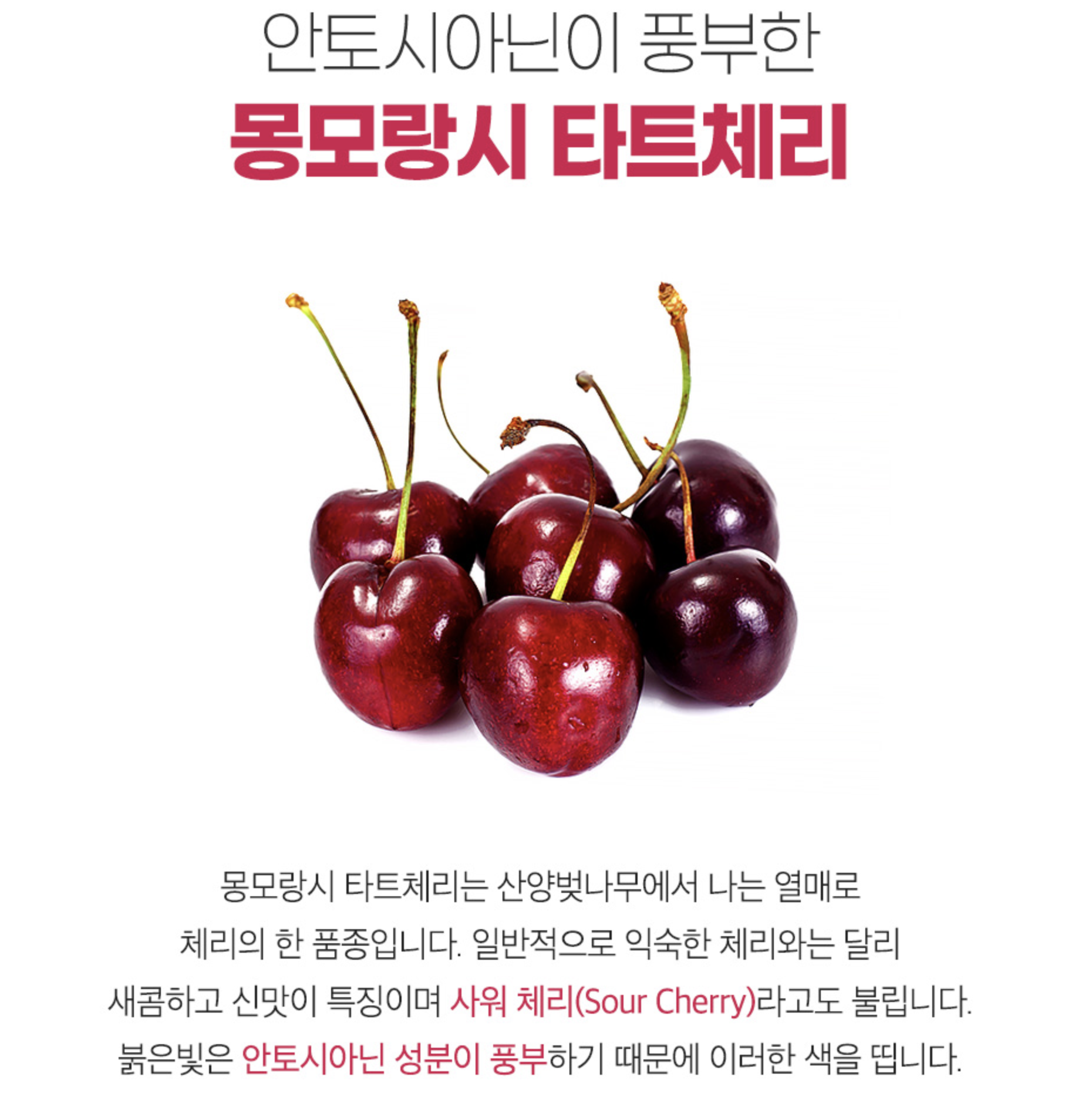 무가당 타트체리 쥬스 타트체리 음료 몽모랑시 - 상세 이미지 4