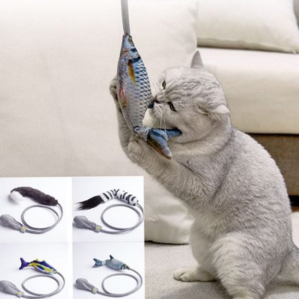 반려묘 고양이 놀이 장난감 훈련 고양이 사냥 장난감 캣닢 운동 - 메인 이미지