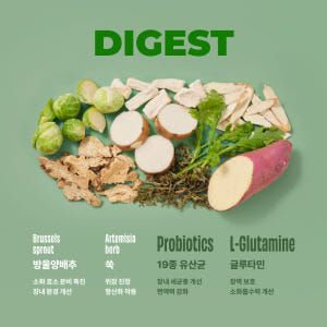 트러스티푸드 동결건조 저알러지 한방캡슐 다이제스트 강아지 유산균 장영양제... 솔직 후기 | 실제 사용자 리뷰 총정리 - 상품 이미지 4