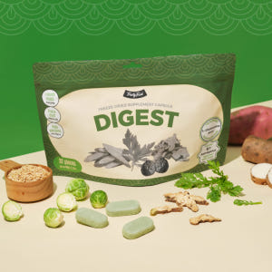 트러스티푸드 동결건조 저알러지 한방캡슐 다이제스트 강아지 유산균 장영양제... 솔직 후기 | 실제 사용자 리뷰 총정리 - 상품 이미지 1