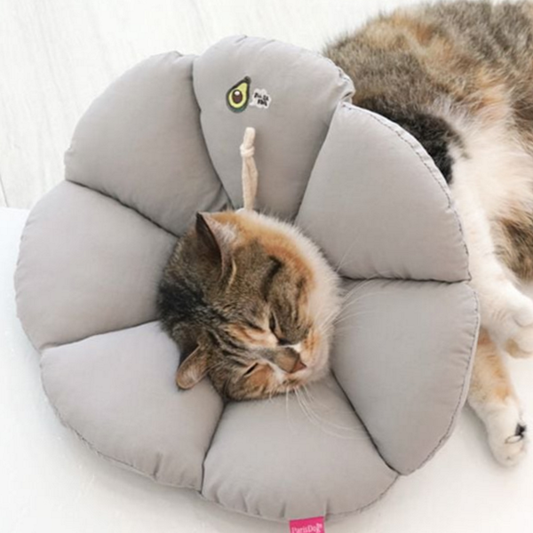 쿠션 강아지 넥 카라 이면 고양이 넥 카라 반려동물 꿀잠 - 메인 이미지
