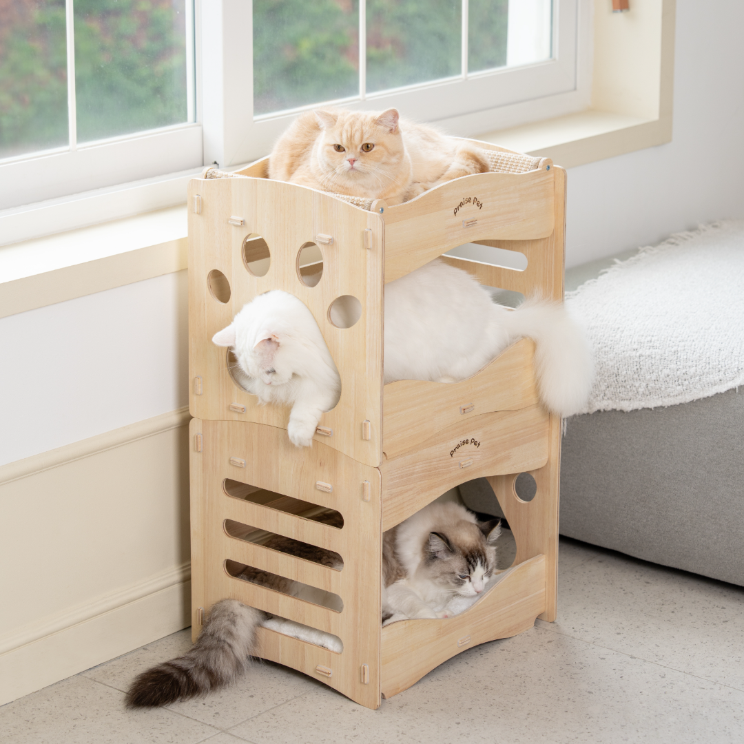 [리뉴얼]프레이즈펫 프리미엄 2층침대 스크래쳐 - 고양이 대형 숨숨집 하... 솔직 후기 | 실제 사용자 리뷰 총정리 - 대표 이미지