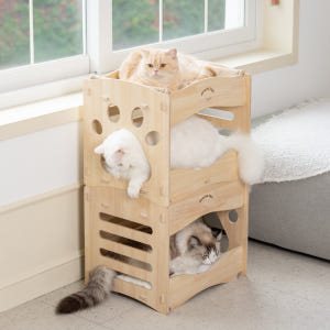 [리뉴얼]프레이즈펫 프리미엄 2층침대 스크래쳐 - 고양이 대형 숨숨집 하... 솔직 후기 | 실제 사용자 리뷰 총정리 - 상품 이미지 1