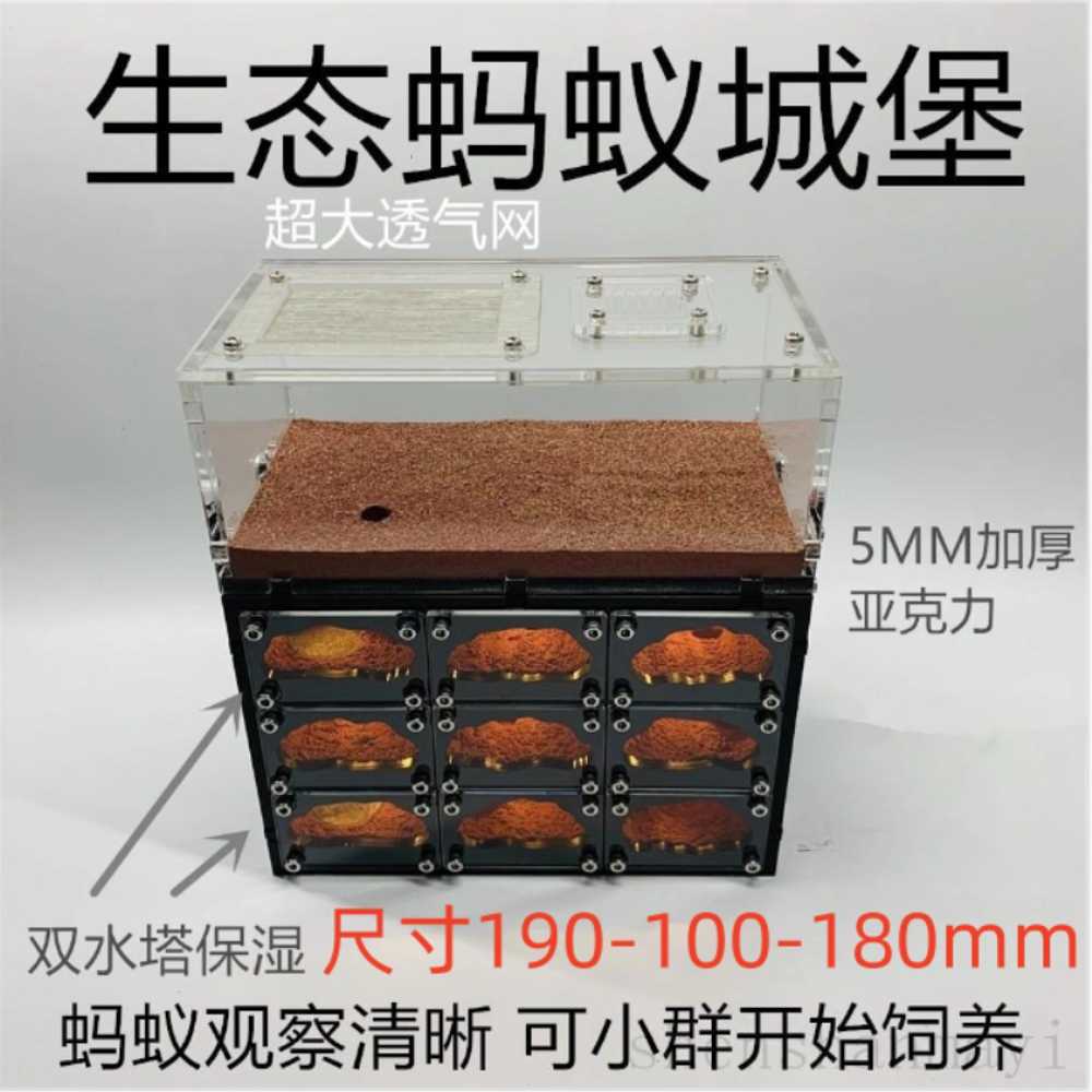 개미사육장 케이지 곤충 키우기 여왕 집 굴 아크릴 19x18x10cm 기본형 이미지 6