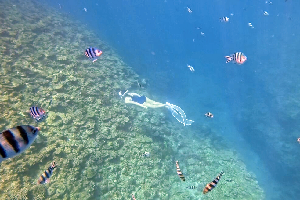 오키나와 보트 펀 프리다이빙 푸른동굴 체험 한국어 가능(사진, 영상촬영) 일일투어 스노쿨링 이미지 7