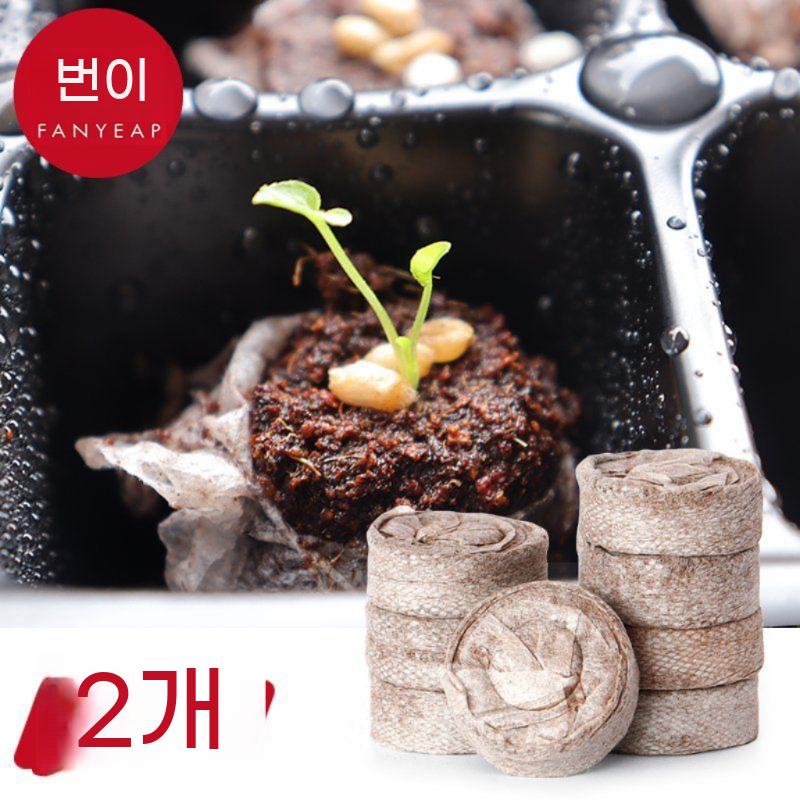 모종 트레이 박스 묘목 육묘 새싹 재배기 종자 식물 꽃 상자 발아 모종박스 12구 - 상세 이미지 2