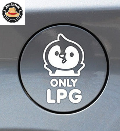김프로센터 팽글이 only LPG 화이트 아기차량스티커 차량용스티커
