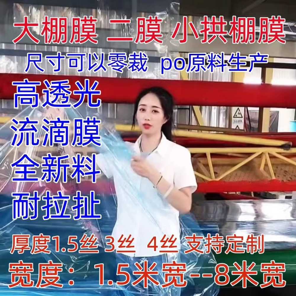 렉산필름 골판 처마 온실 테라스 가림막 투명 차양 80m - 상세 이미지 2