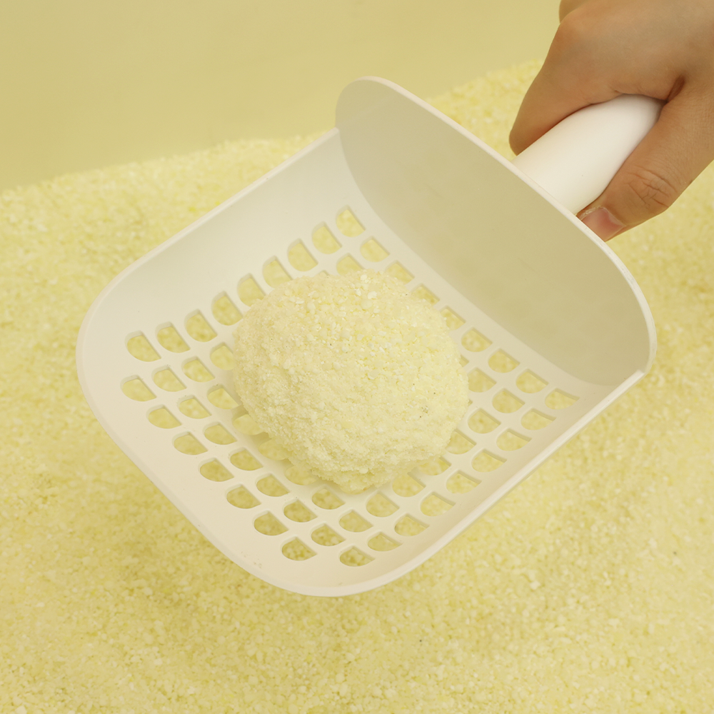 더스트몬 먼지없는 고양이모래 무향 토탈솔루션 카사바, 4.55kg, 2개 이미지 8