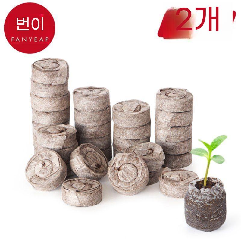 모종 트레이 박스 묘목 육묘 새싹 재배기 종자 식물 꽃 상자 발아 모종박스 12구 - 상세 이미지 4