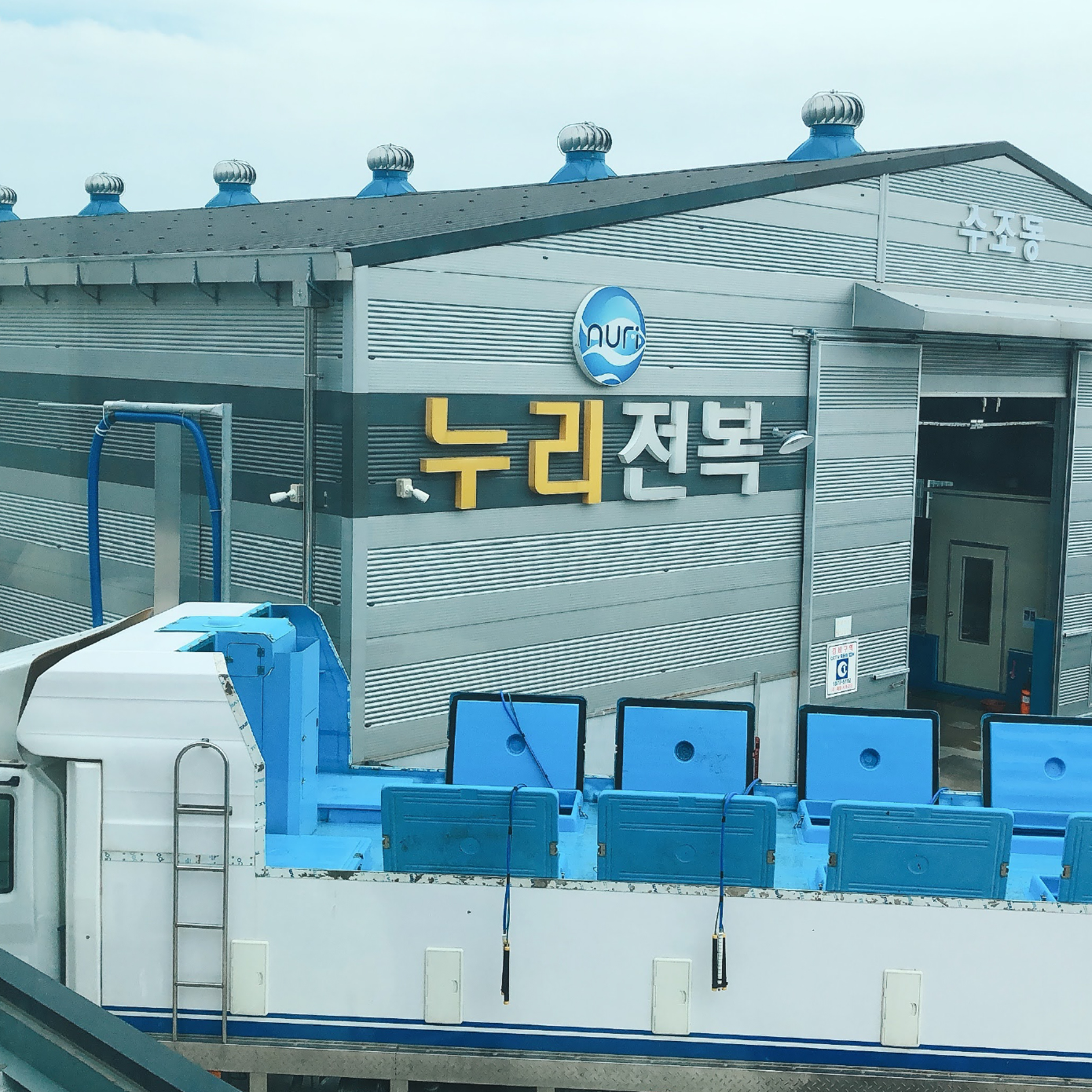 자숙전복 완도산 손질0초 바로먹는 노랑전복 진공포장 특대 2마리 90g, 14개 이미지 8