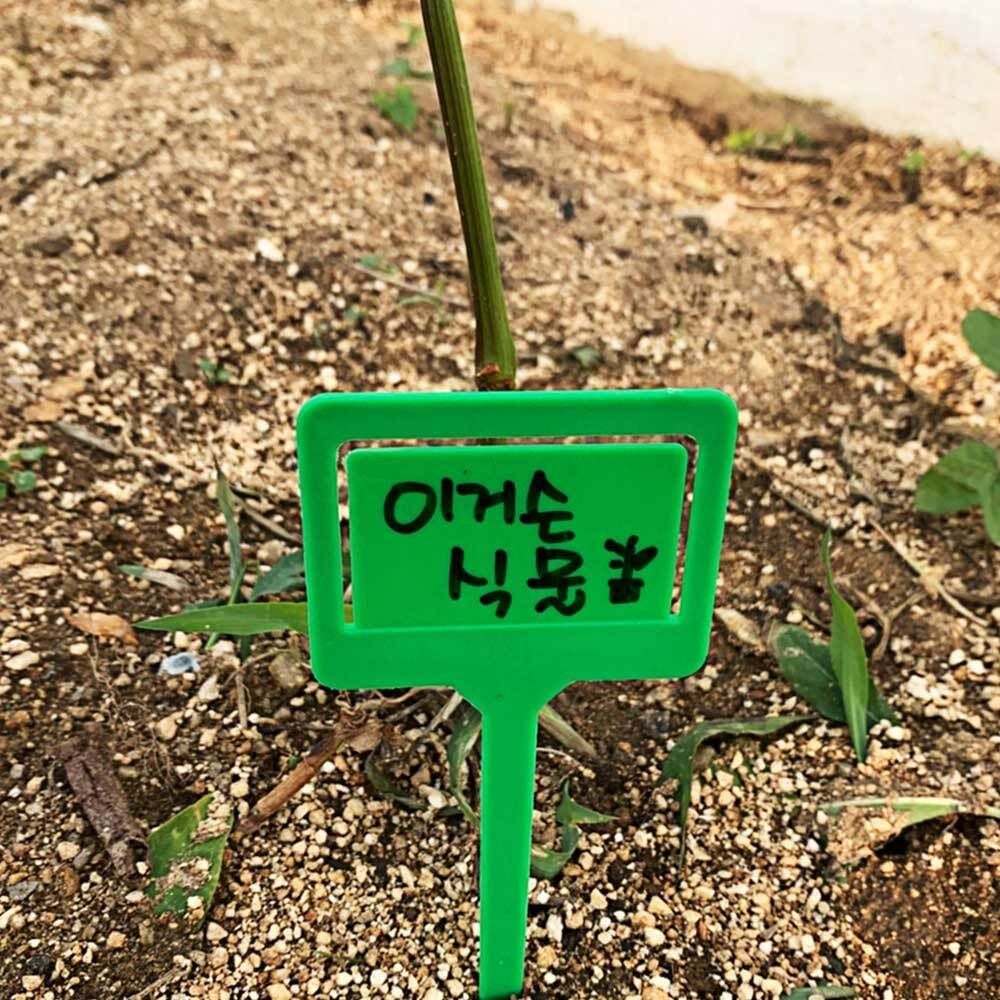 5P 식물 화단꾸미기 이름표 클립형 화분 픽 라벨 - 상품 이미지