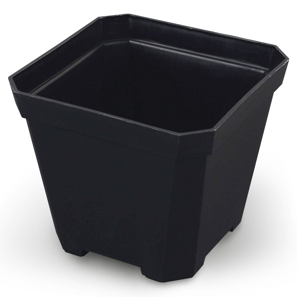 미니 사각 화분 블랙 10x10cm 다육이 플라스틱화분 - 상품 이미지