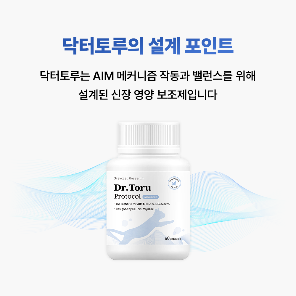 신부전 고양이 AIM 신장 영양제 닥터토루 미야자키 토루 박사 설계 60캡슐, 1개