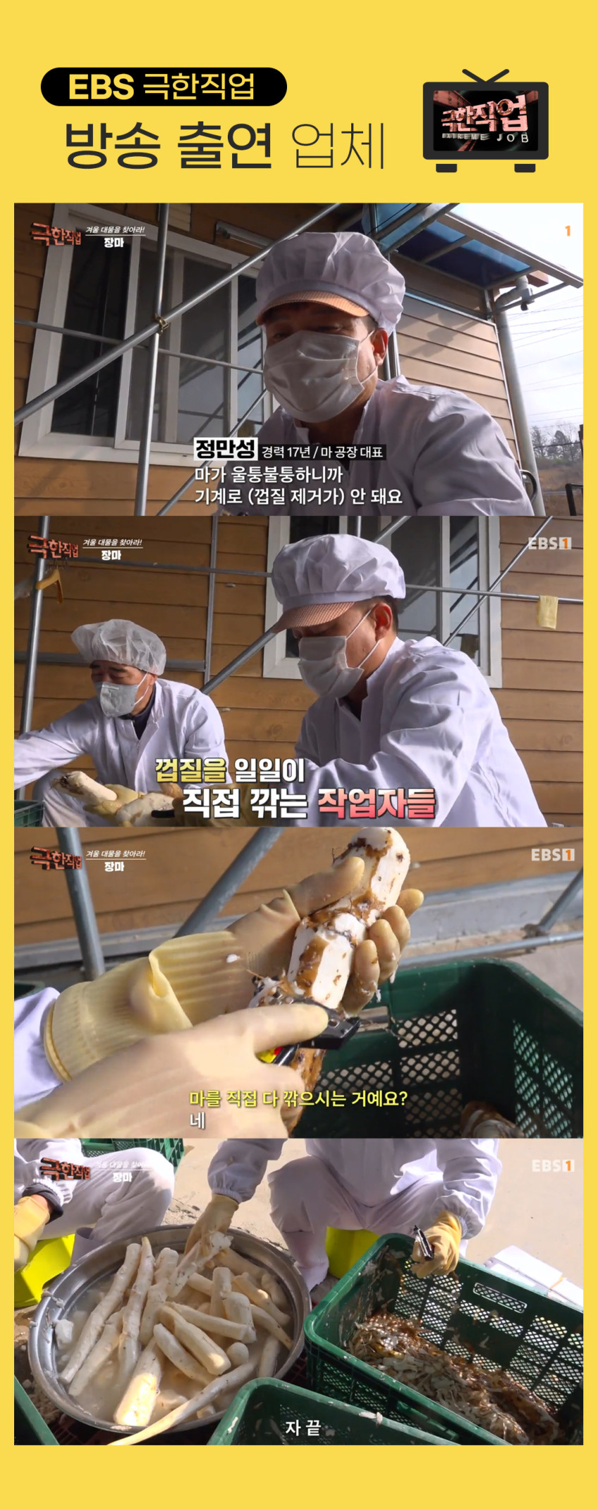마즙 참마진액 껍질 벗겨 목넘김이 부드러운 안동 참마즙 100ml 30포 판매처 상세 정보 이미지 4