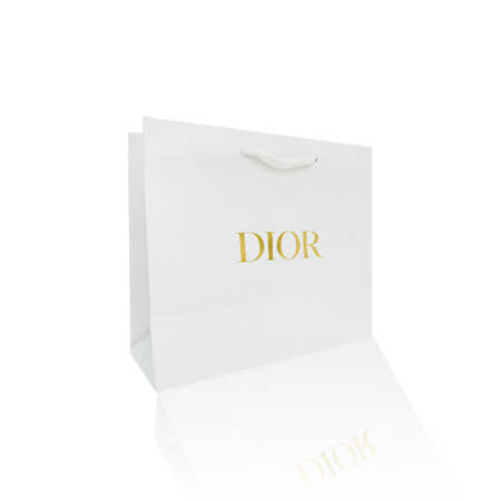 [DIOR]디올 쇼핑백 백화점 쇼핑백 홀리데이 한정판