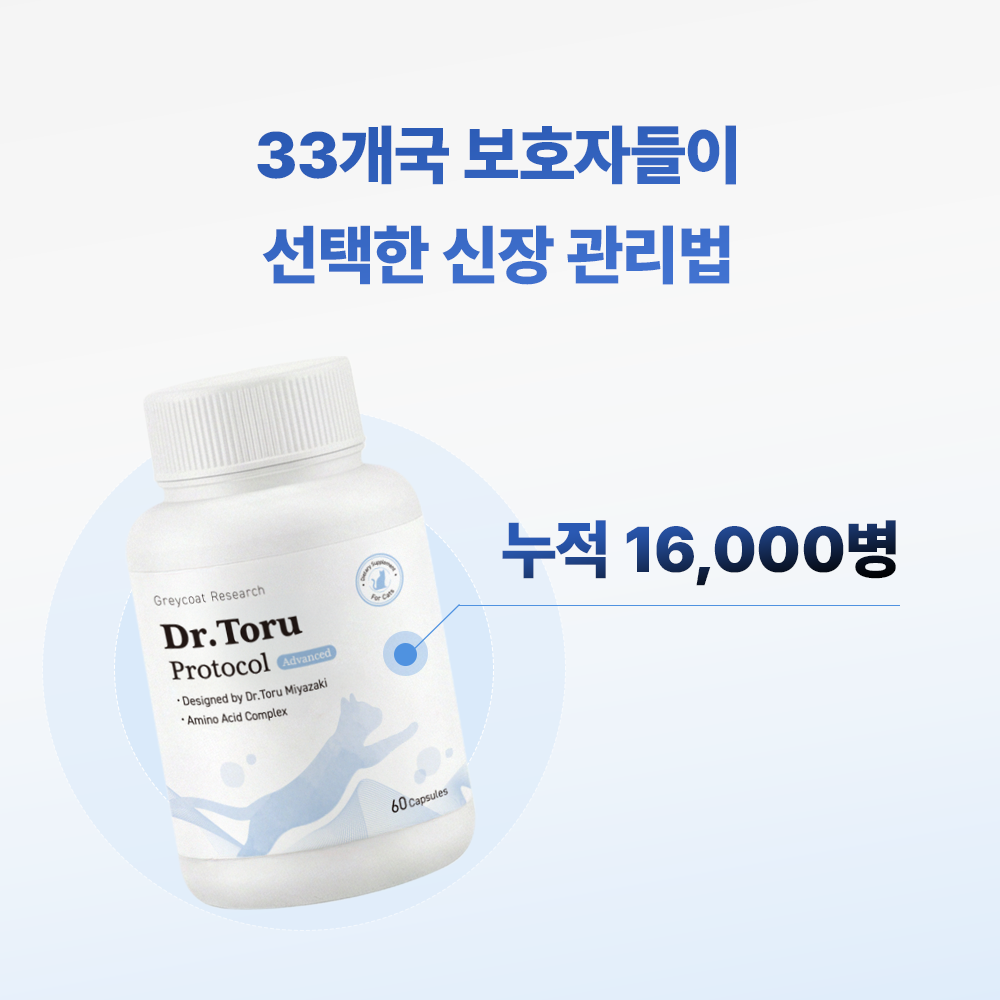 신부전 고양이 AIM 신장 영양제 닥터토루 미야자키 토루 박사 설계 60캡슐, 1개