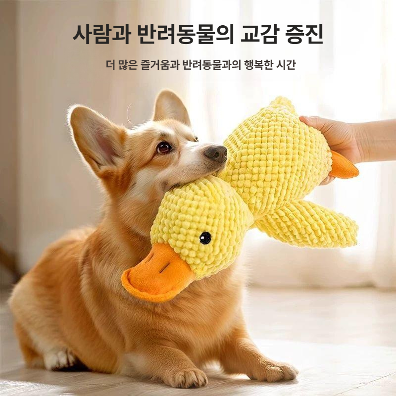 강아지 소리나는 인형 대형 반려견 이갈이 용품 소형 - 상세 이미지 4