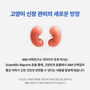 야옹섬 고양이 영양제 신장 AIM 닥터토루 신부전 미야자키 토루 2개월 ... 솔직 후기 | 실제 사용자 리뷰 총정리 - 상품 이미지 3